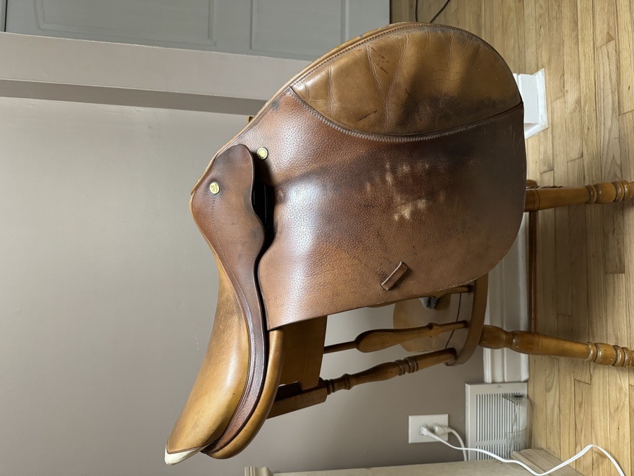 Prestige 16” long flap saddle 