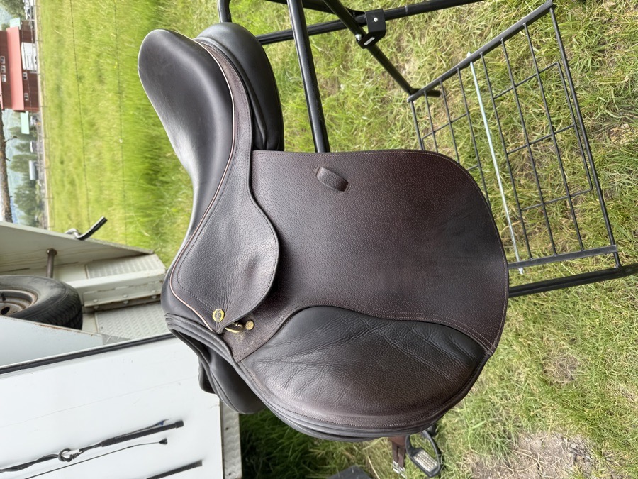 BLACK COUNTRY | 18" | 4.5" Tree Size | 2022