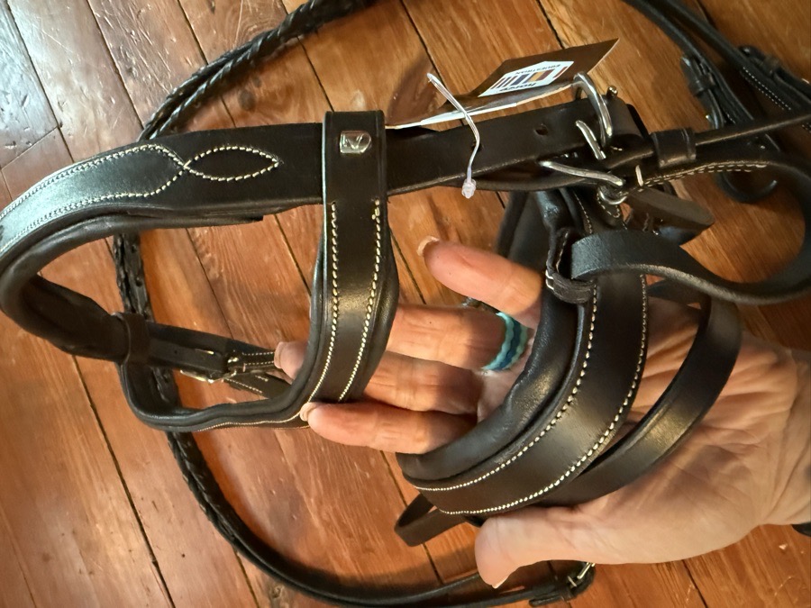 Pony sized Horze Venice flash bridle
