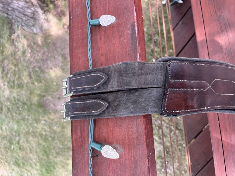 EQUIFIT T foam hunter girth