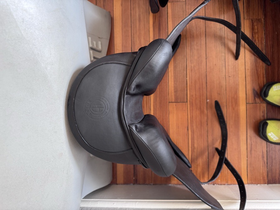17” Arion 4D Dressage Saddle - 2023 - 1CH - Full Buffalo - BRAND NEW!