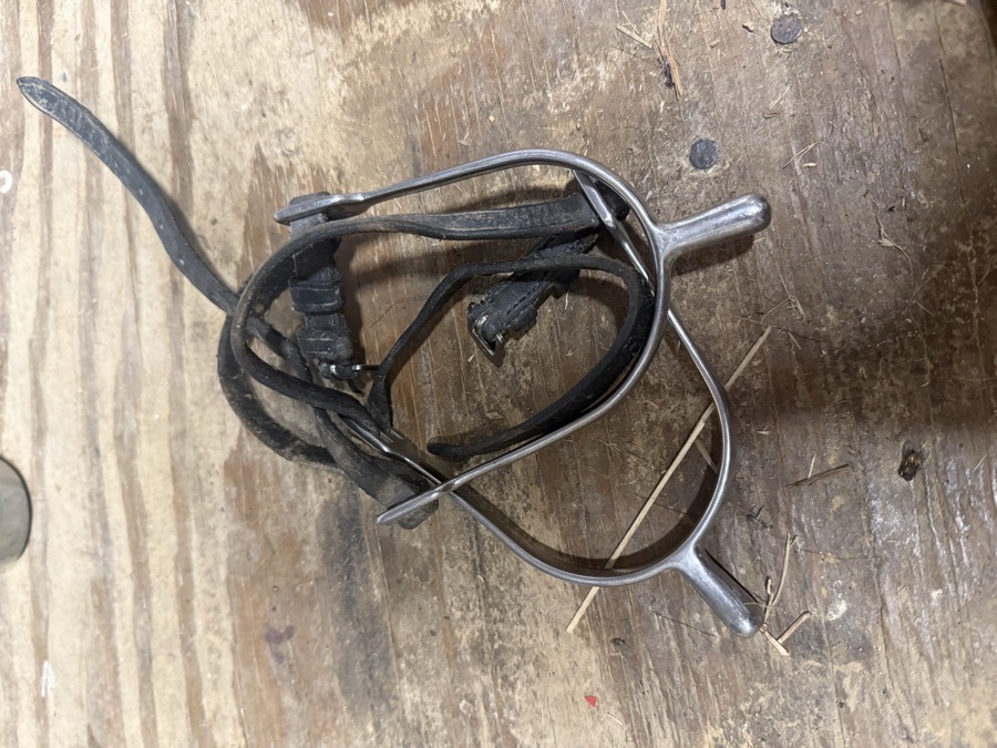 1” spurs with straps