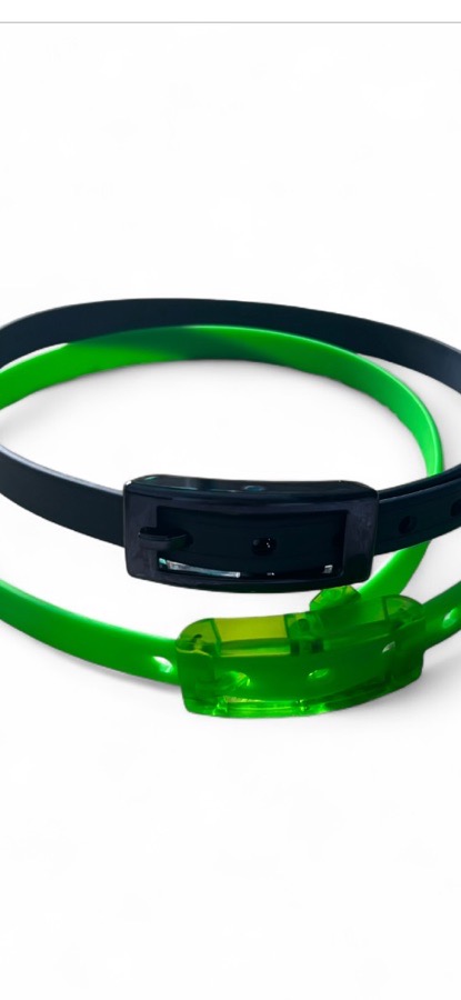 C4 skinny belt pair of 2