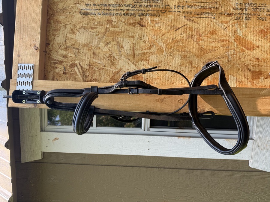 DOVER SADDLERY Bridle Horse