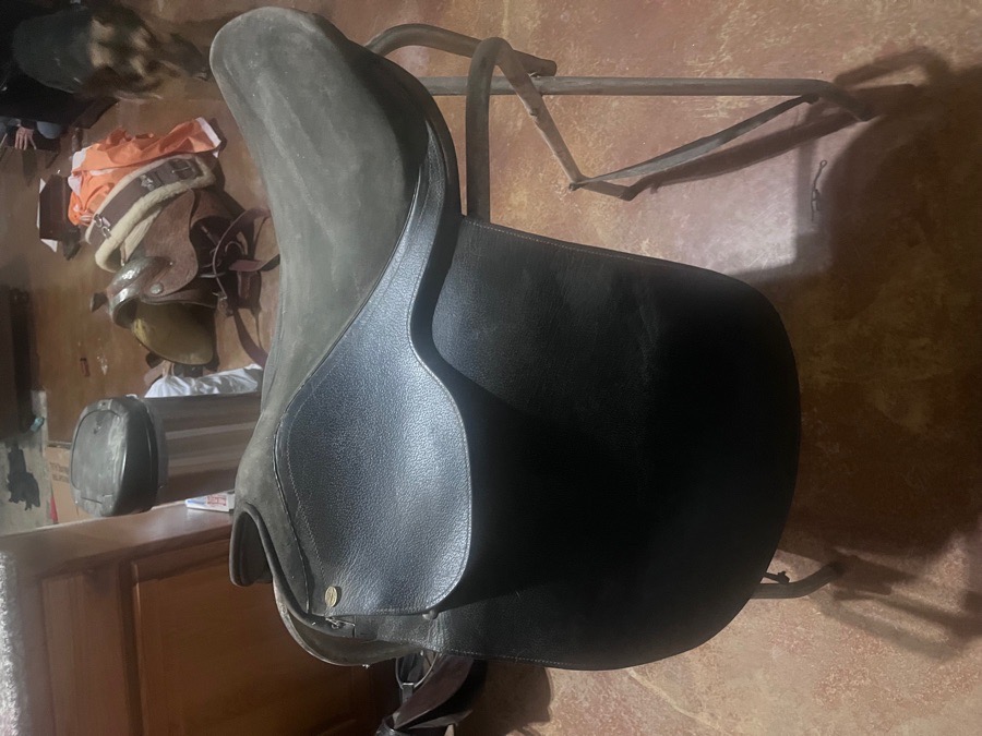 TSI Stallion Saddleseat/All Purpose