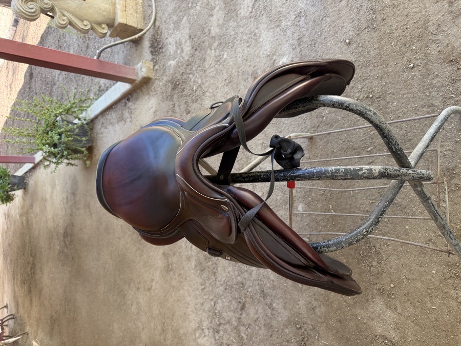 CWD SADDLE FOR SALE