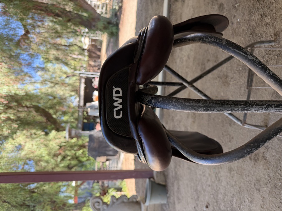 CWD SADDLE FOR SALE