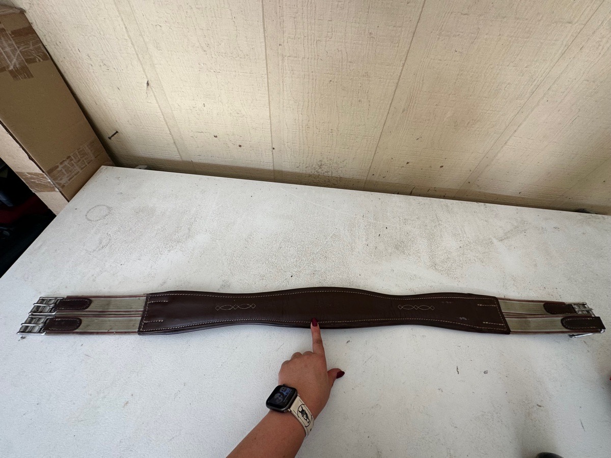 M. Toulouse 46” girth 