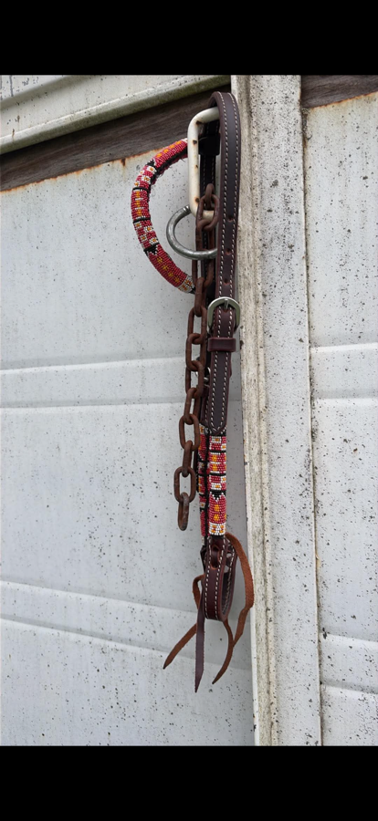 OTHER bridle/horse
