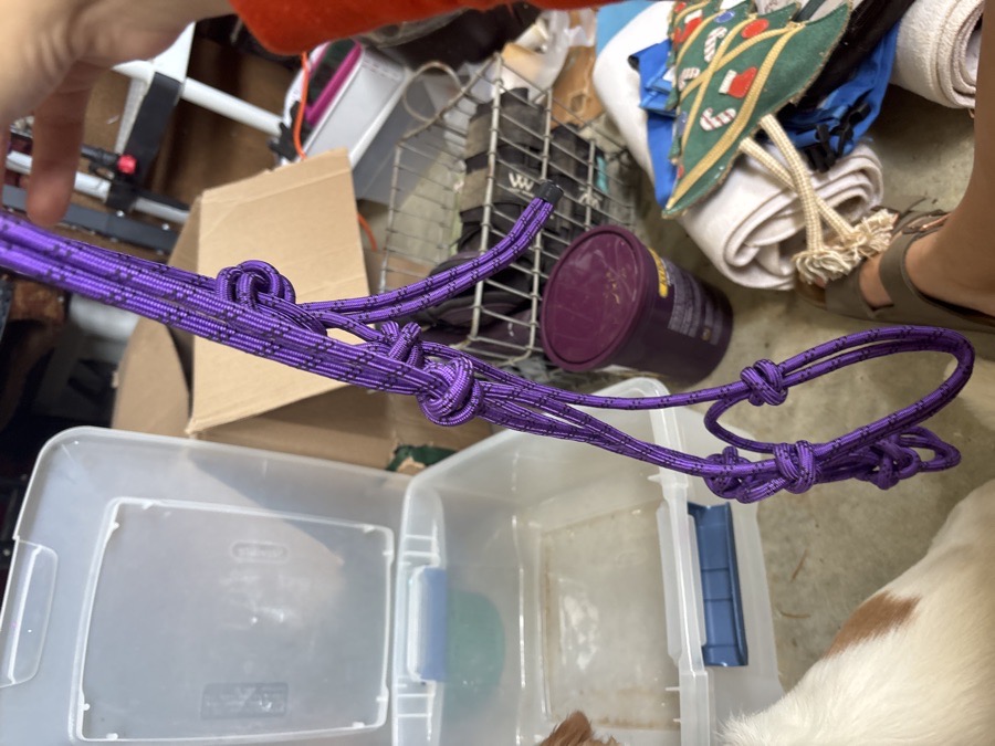 DOVER SADDLERY Halter/Rope Horse
