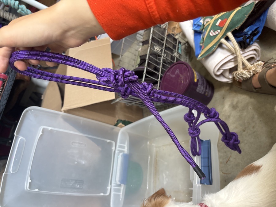 DOVER SADDLERY Halter/Rope Horse