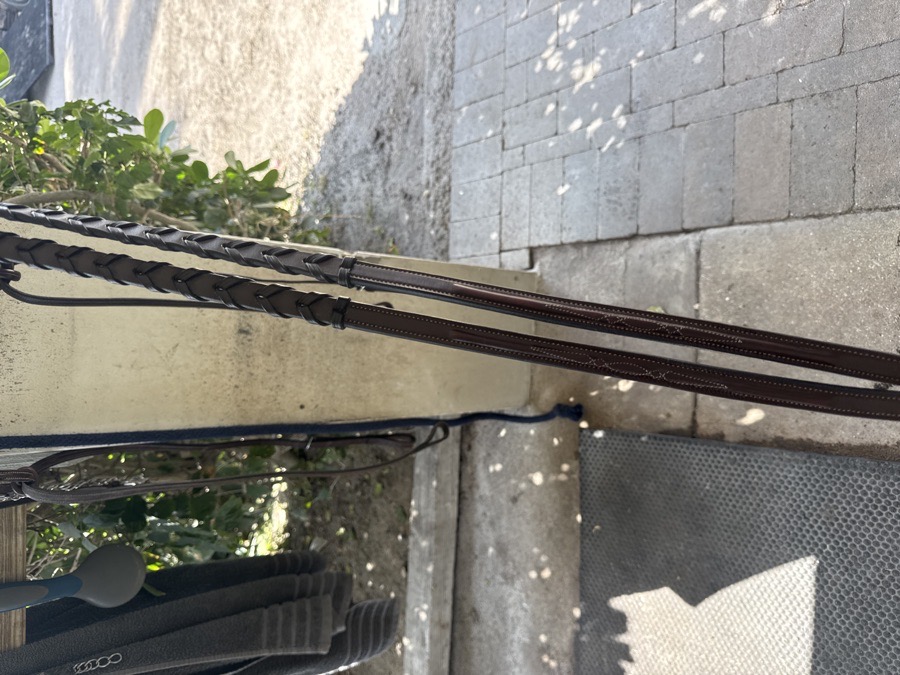 Bridle 