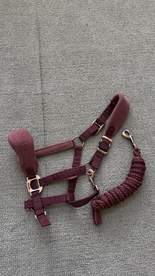 LEMIEUX Halter/Rope Cob