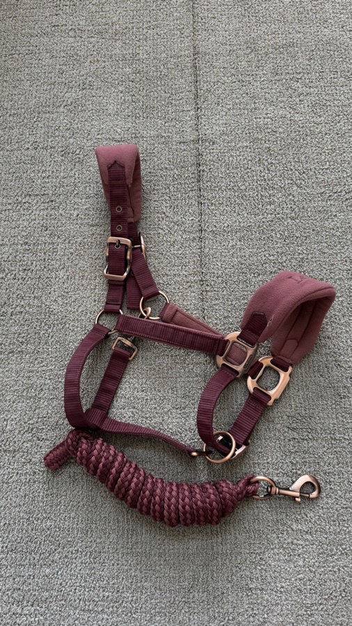 LEMIEUX Halter/Rope Cob