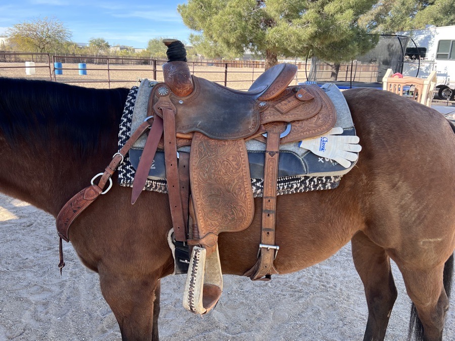 Frontier 10x Roper Saddle