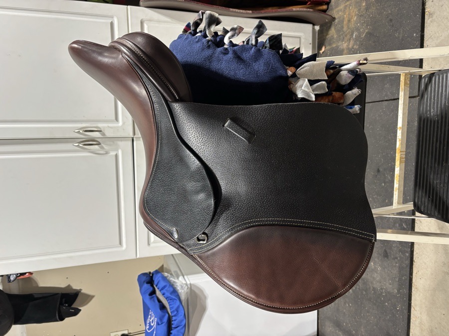 Ryder Riviera jump saddle 16.5MW