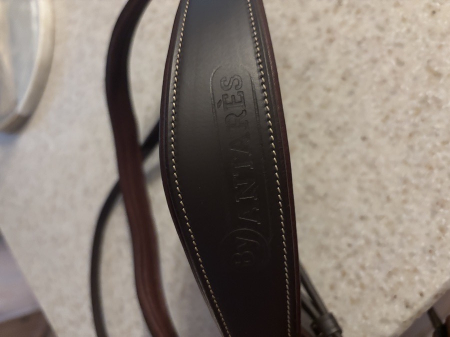 ANTARES Bridle Horse-Signature Line Line- Figure Eight