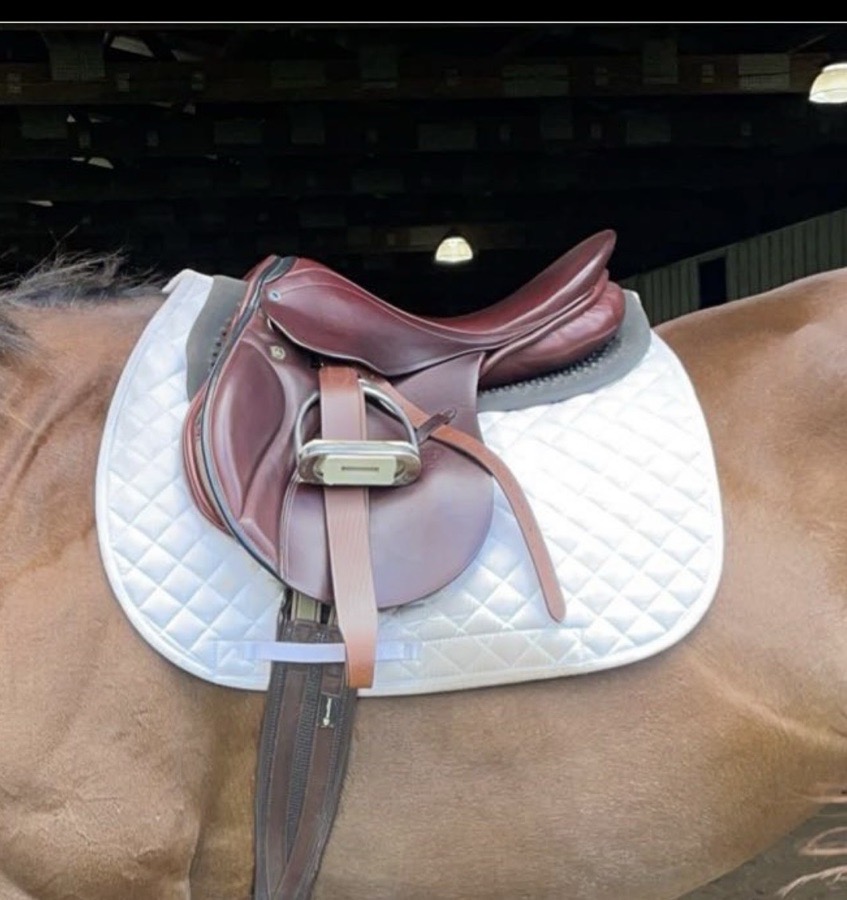 Stubben Juventus 17” Jump Saddle