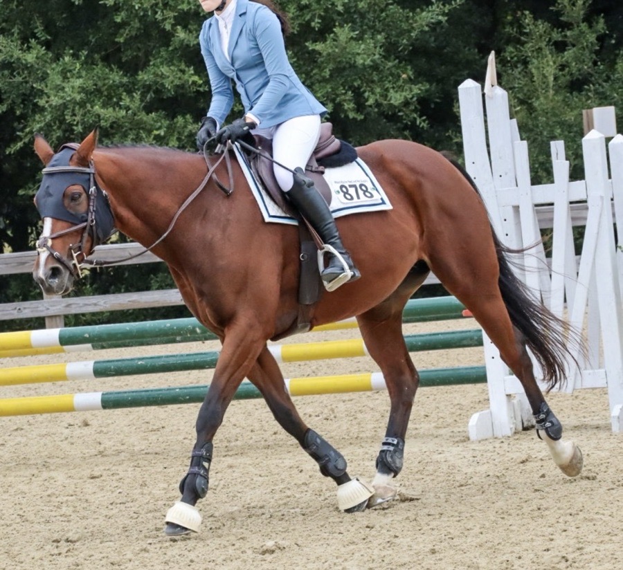 Kismet Sophia show coat XS