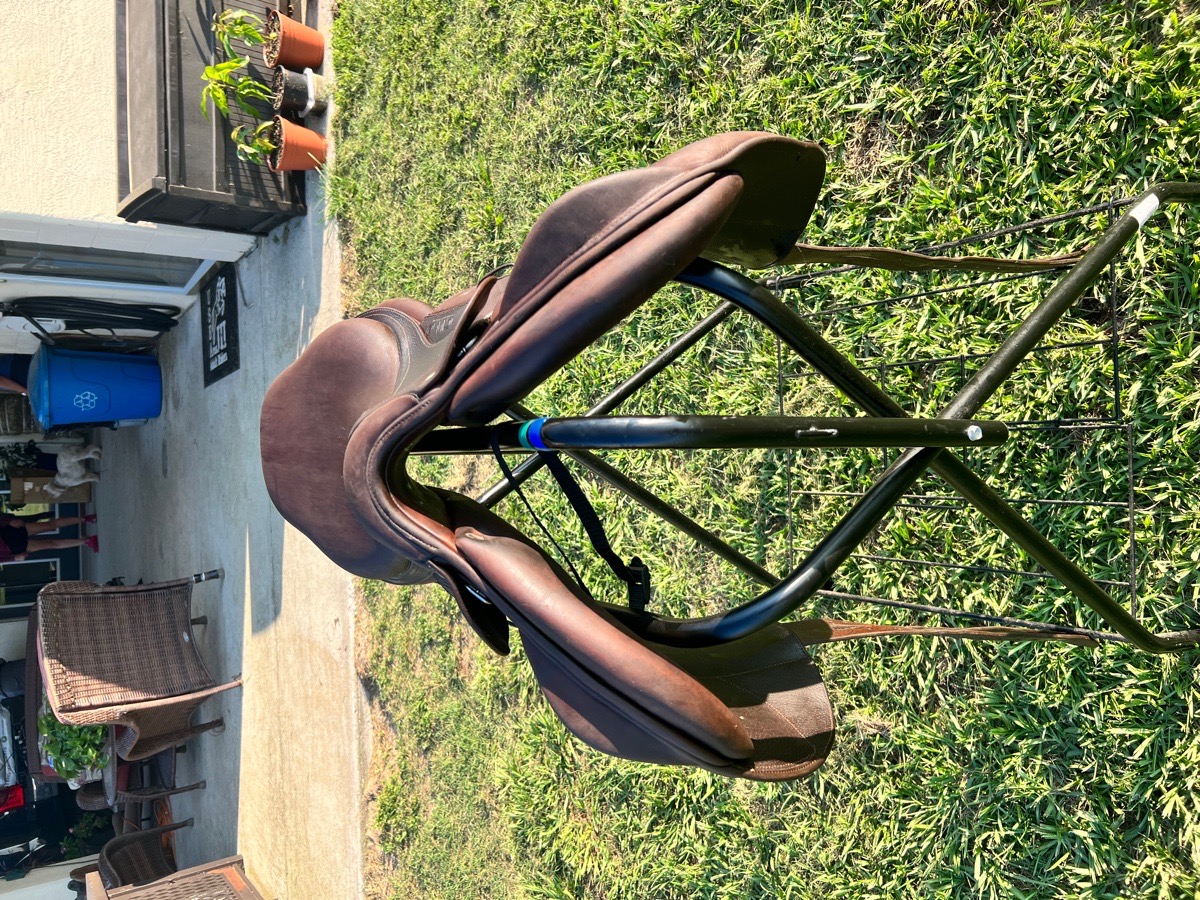 CWD jump saddle