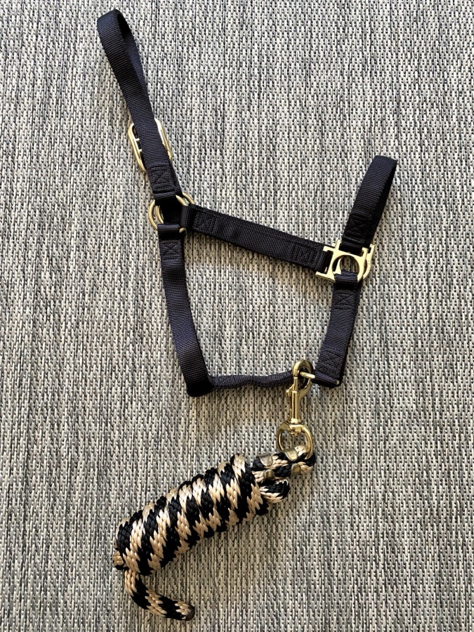 Average/Horse Black Nylon Halter with Black & Tan Poly Lead Rope