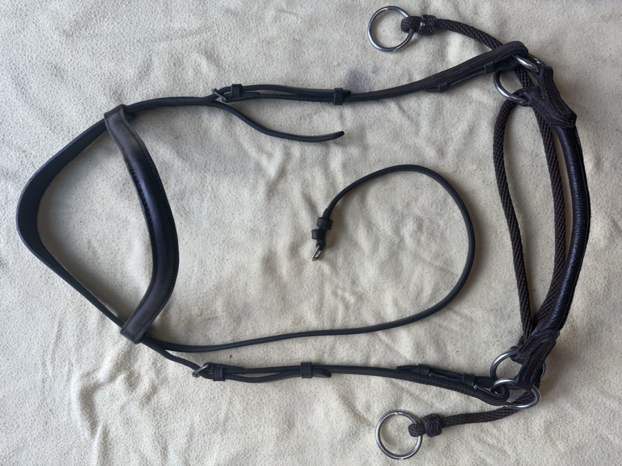 bitless bridle