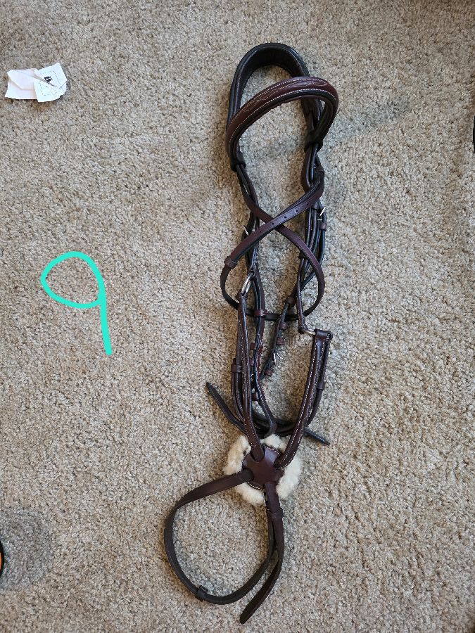 OVATION Bridle Horse