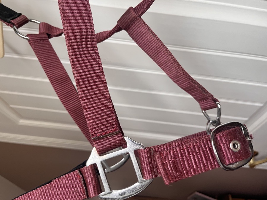 Dover Halter