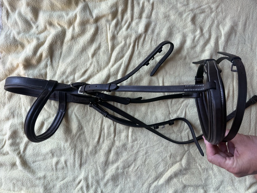 large horse monocrown flash bridle