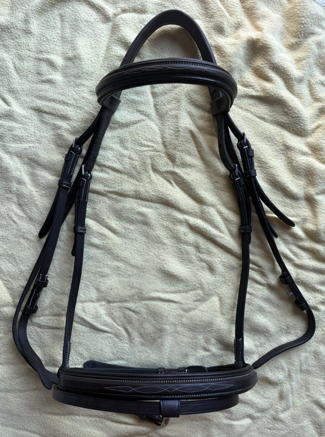 large horse monocrown flash bridle