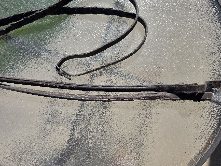 Brown Laced Reins