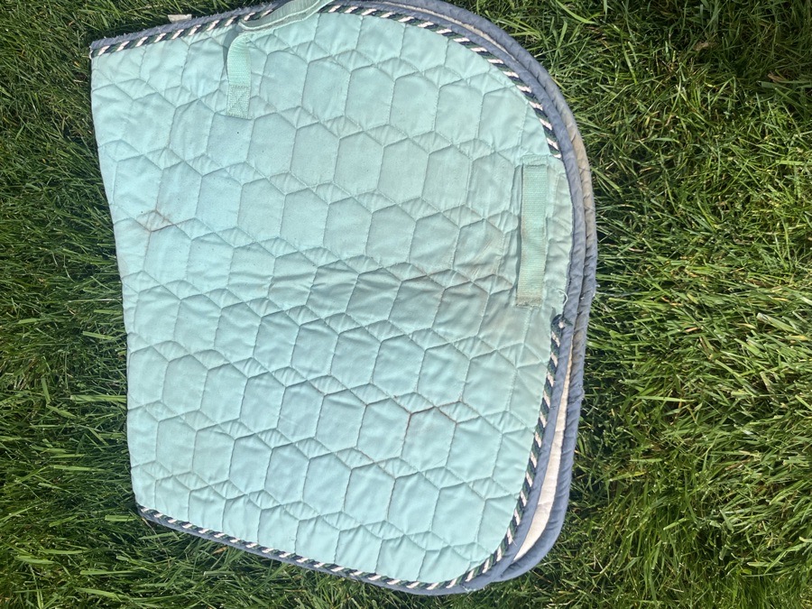 Century saddle pad