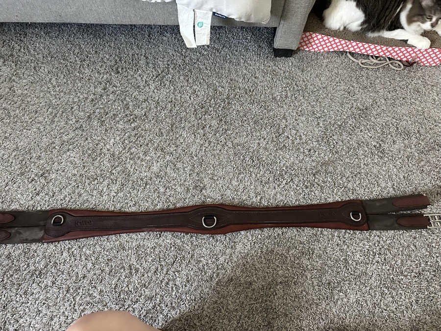 CWD classic girth