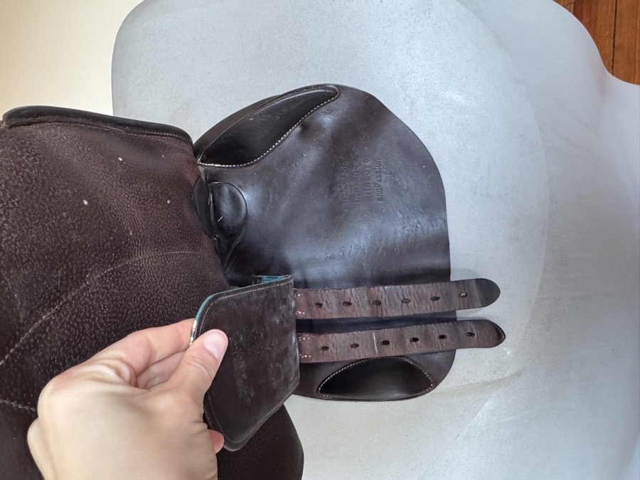 15.5” 2019 Voltaire Welli Saddle - Children’s / Pony - 0A - Full Buffalo