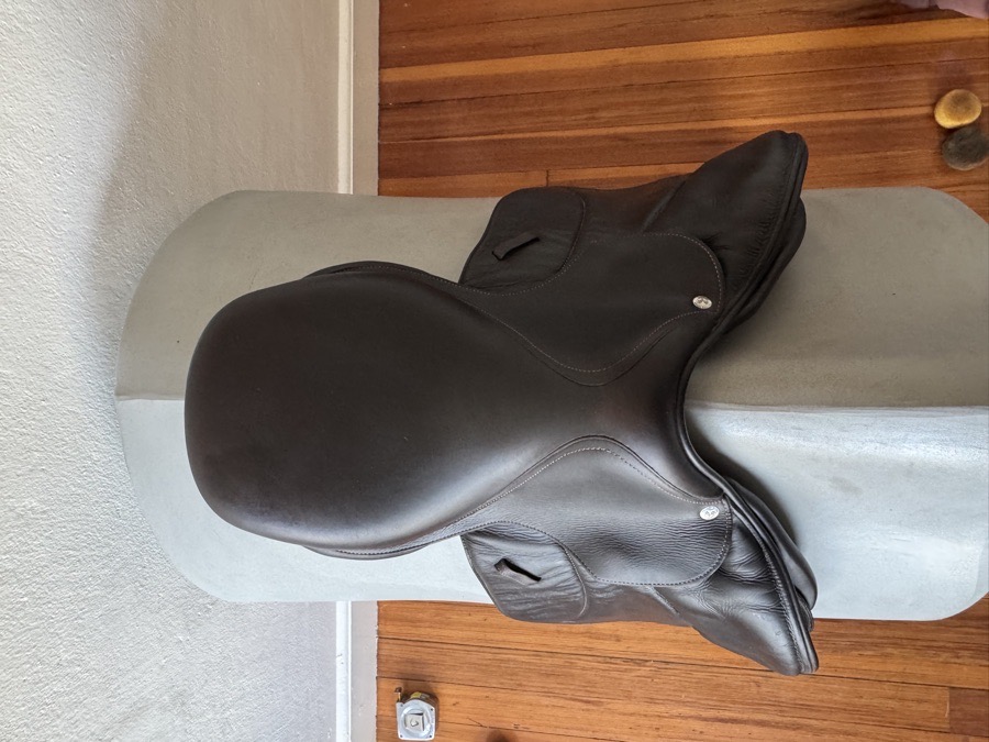 15.5” 2019 Voltaire Welli Saddle - Children’s / Pony - 0A - Full Buffalo