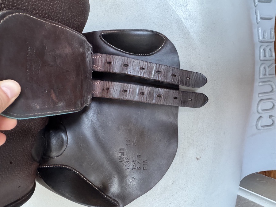 15.5” 2019 Voltaire Welli Saddle - Children’s / Pony - 0A - Full Buffalo
