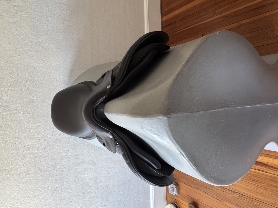 15.5” 2019 Voltaire Welli Saddle - Children’s / Pony - 0A - Full Buffalo