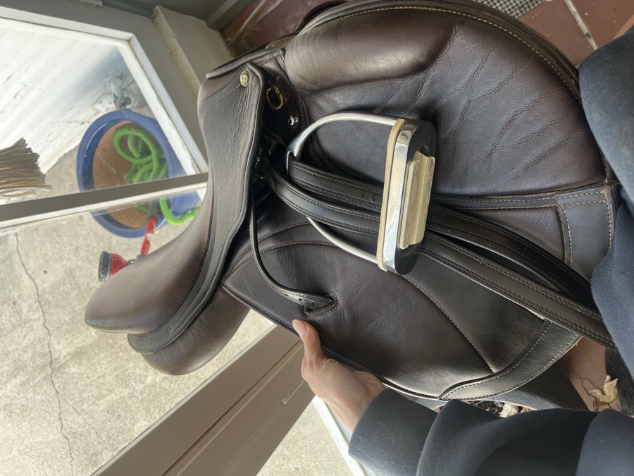 English hunter/jumper saddle 