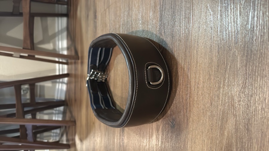 NWOT InDulge™ Classic Hunter Girth. Size 46.