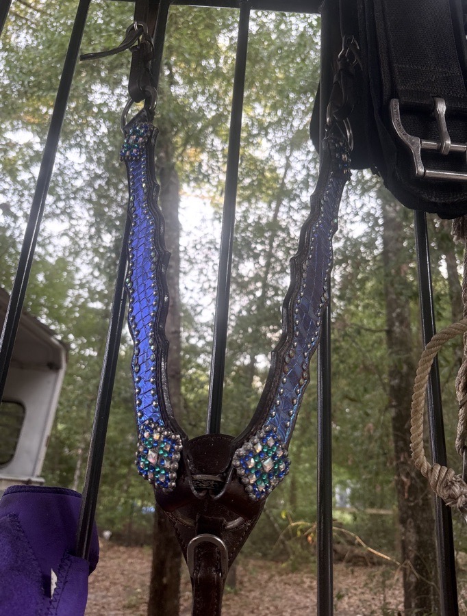 Breast collar + headstall