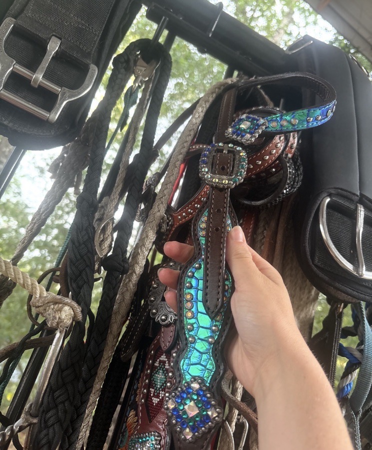 Breast collar + headstall