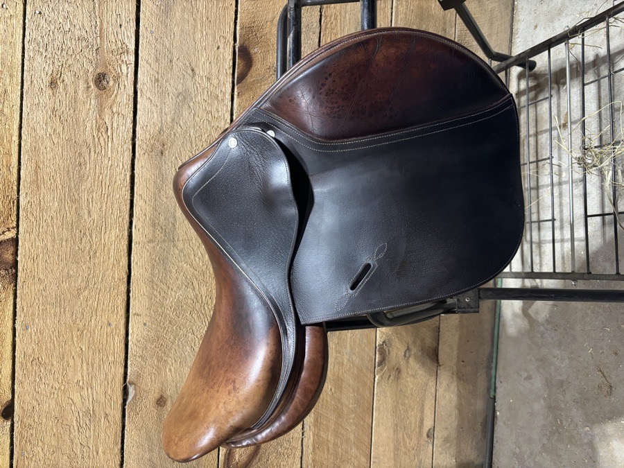 16.5 inch arc de triomphe saddle for sale 