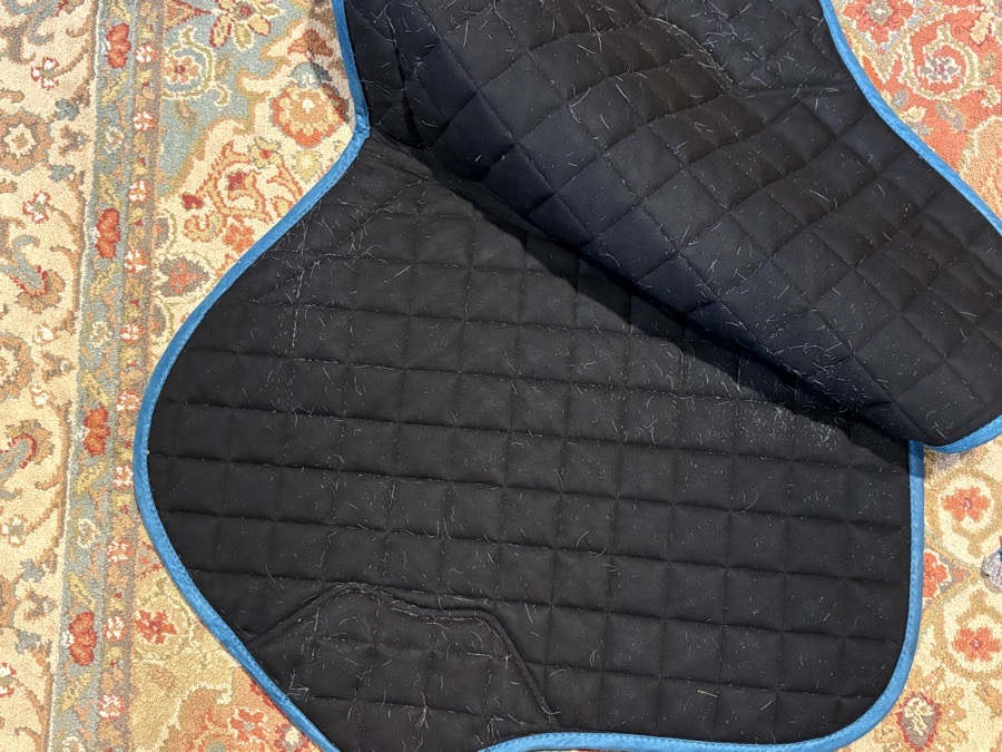 LEMIEUX | 2025 peacock saddle pad lorie 