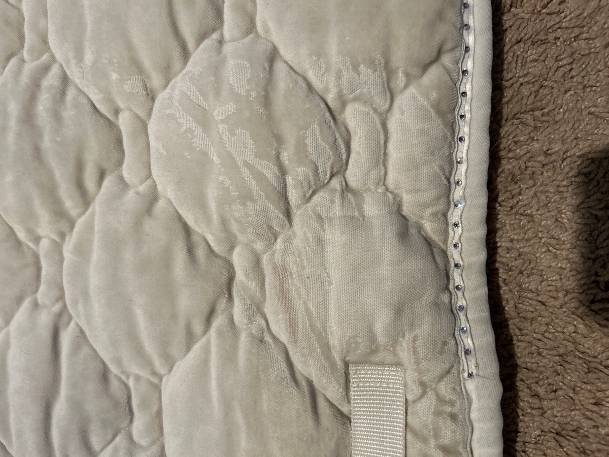 Kentucky all purpose pad 