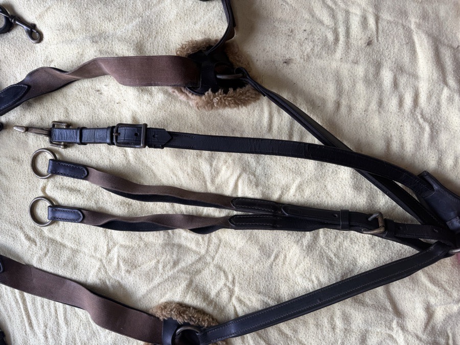 Equipe brown event 5 point breastplate