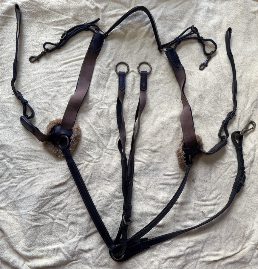 Equipe brown event 5 point breastplate