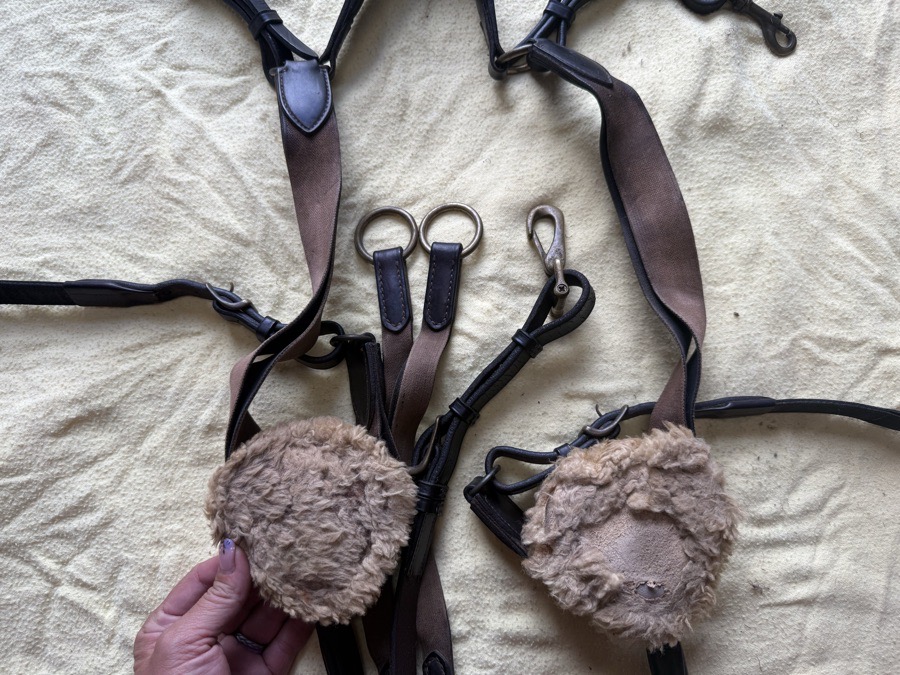 Equipe brown event 5 point breastplate