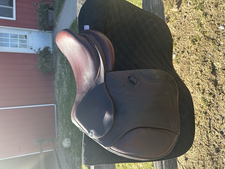 CWD Saddle SE 19 15.5 1L
