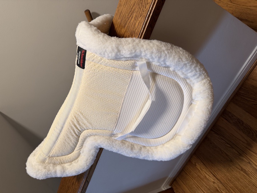 Schneider’s Show Pad 