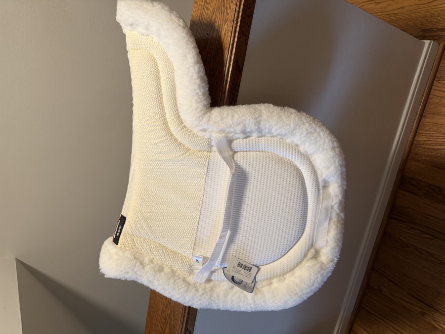 Schneider’s Show Pad 